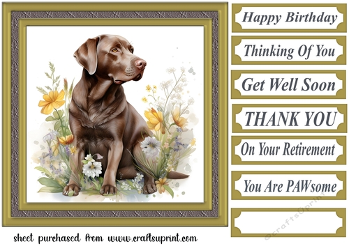 Floral Chocolate Labrador card front 6