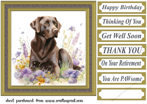 Floral Chocolate Labrador card front 7