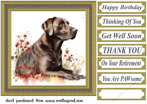 Floral Chocolate Labrador card front 8