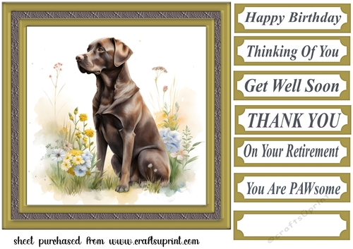 Floral Chocolate Labrador card front 9