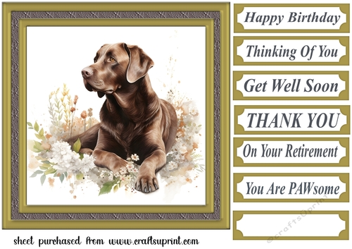 Floral Chocolate Labrador card front 10