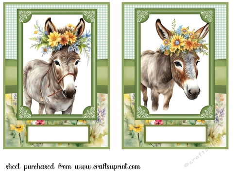 2 Floral donkey card fronts 3
