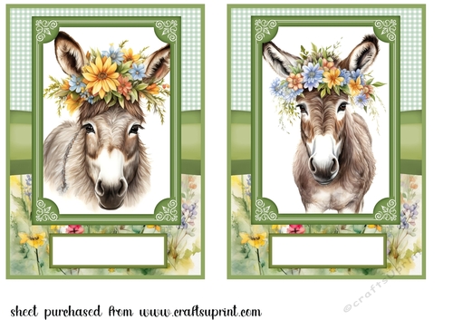 2 Floral donkey card fronts 4