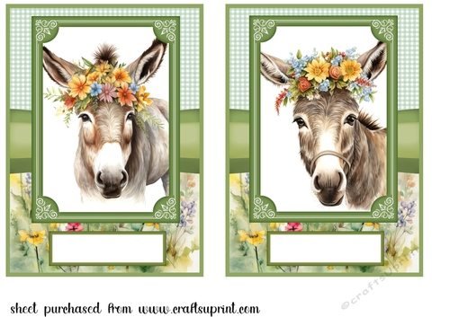 2 Floral donkey card fronts 5