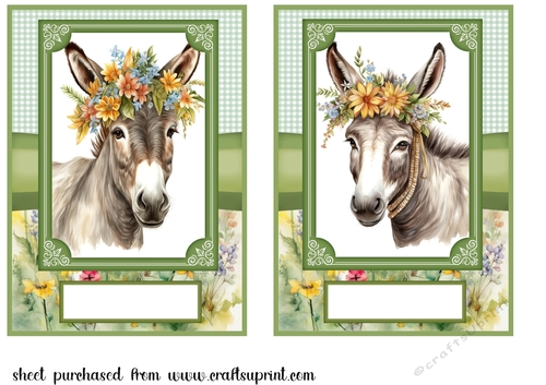2 Floral donkey card fronts 6