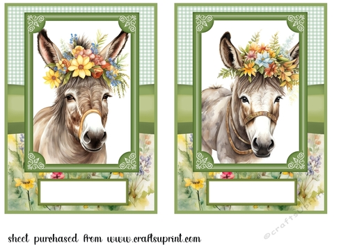 2 Floral donkey card fronts 7