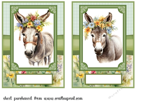 2 Floral donkey card fronts 8