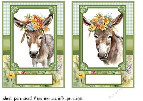2 Floral donkey card fronts 9