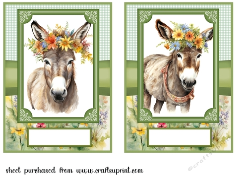 2 Floral donkey card fronts 10