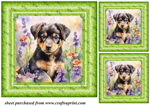 3 Floral pup card fronts/toppers 6