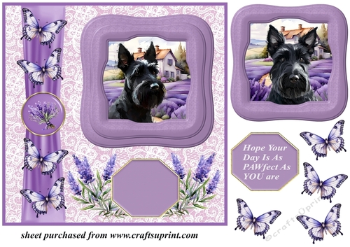 Framed lavender Scottish terrier card front 3