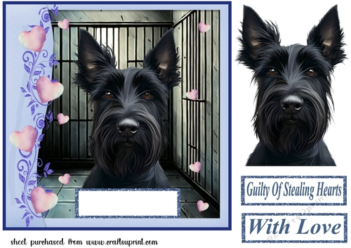 Scottish terrier guilty of stealing hearts card front