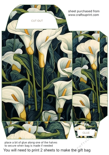 Assorted flowers gift bag 7
