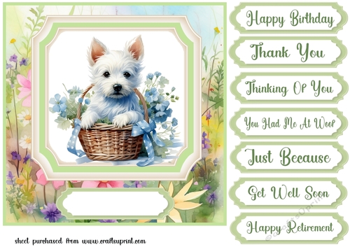 Cute floral Westie card front 1