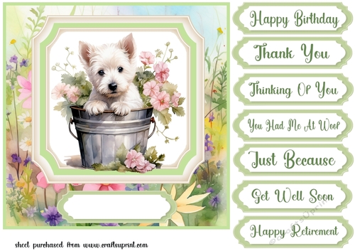 Cute floral Westie card front 2