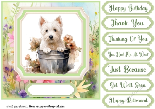 Cute floral Westie card front 3