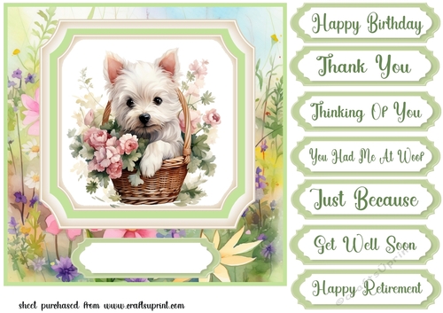 Cute floral Westie card front 6