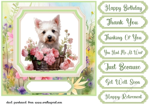 Cute floral Westie card front 8
