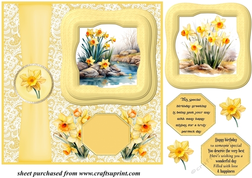 Framed daffodil scene card front 1