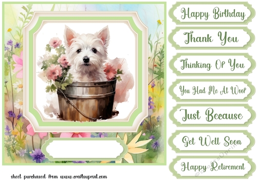 Cute floral Westie card front 11