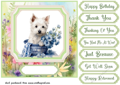 Cute floral Westie card front 13