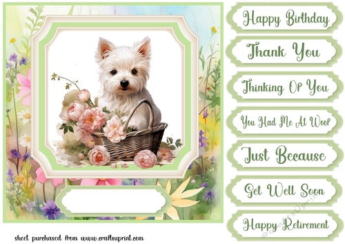 Cute floral Westie card front 14