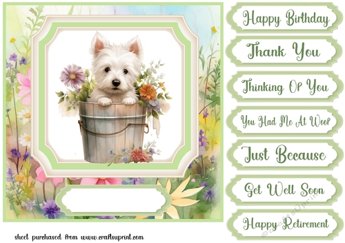 Cute floral Westie card front 17