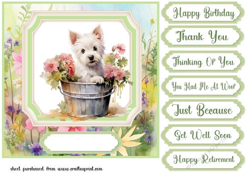 Cute floral Westie card front 18