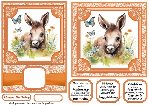 6x6 and 5x7 Orange floral donkey card fronts 1