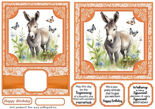 6x6 and 5x7 Orange floral donkey card fronts 2