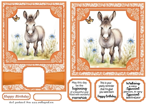 6x6 and 5x7 Orange floral donkey card fronts 3