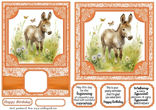 6x6 and 5x7 Orange floral donkey card fronts 4