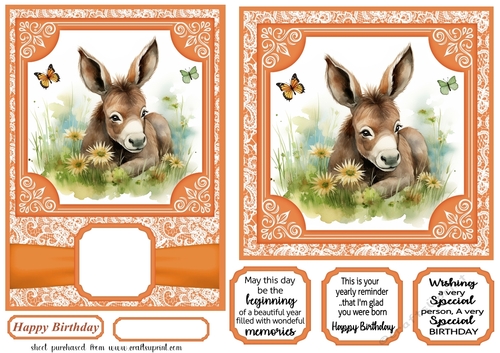 6x6 and 5x7 Orange floral donkey card fronts 6