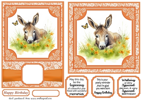 6x6 and 5x7 Orange floral donkey card fronts 7