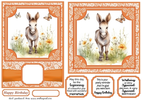 6x6 and 5x7 Orange floral donkey card fronts 8