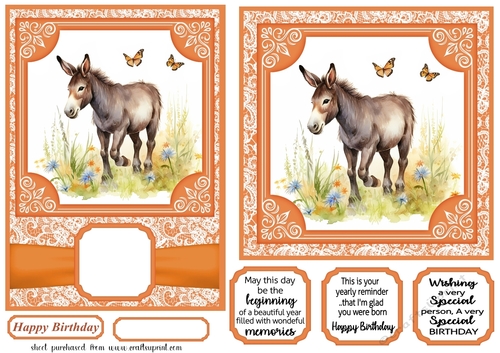 6x6 and 5x7 Orange floral donkey card fronts 9