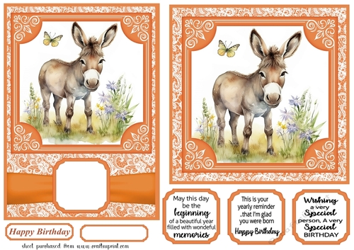 6x6 and 5x7 Orange floral donkey card fronts 10