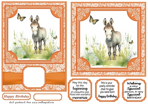 6x6 and 5x7 Orange floral donkey card fronts 12