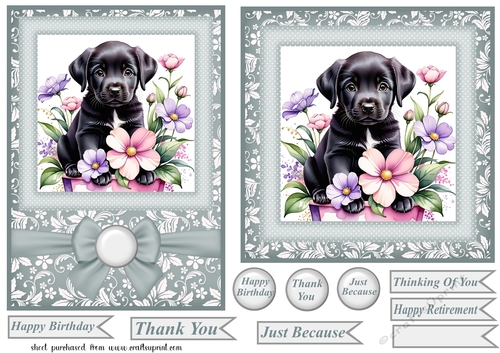 Grey 6x6 and 5x7 floral puppy card fronts 1
