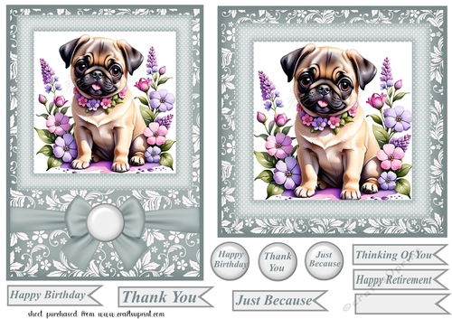 Grey 6x6 and 5x7 floral puppy card fronts 6