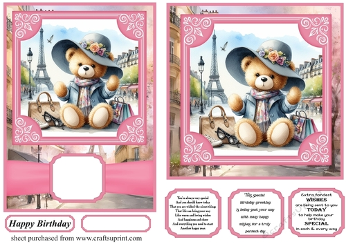 6x6 and 5x7 Pink Paris fashionista bear card fronts 1