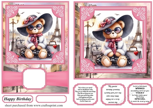6x6 and 5x7 Pink Paris fashionista bear card fronts 2