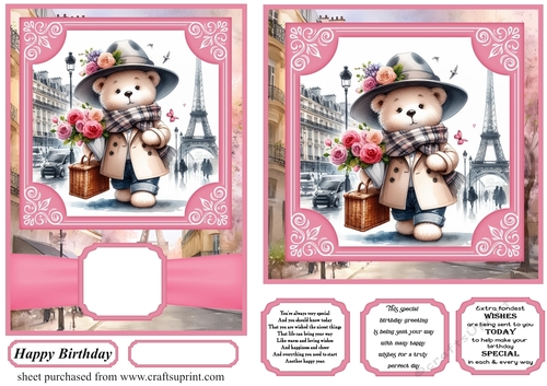 6x6 and 5x7 Pink Paris fashionista bear card fronts 3