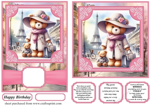 6x6 and 5x7 Pink Paris fashionista bear card fronts 4
