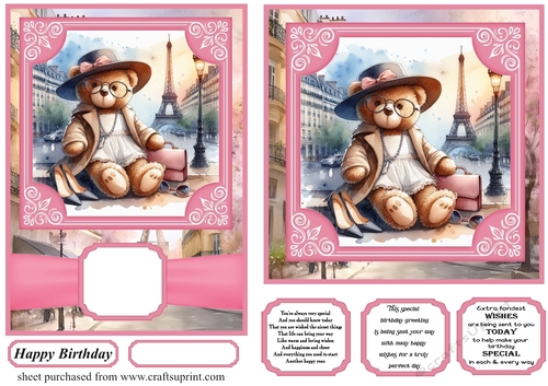6x6 and 5x7 Pink Paris fashionista bear card fronts 5