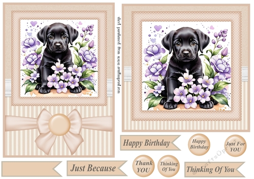 6x6 and 5x7 Beige floral puppy card fronts 1