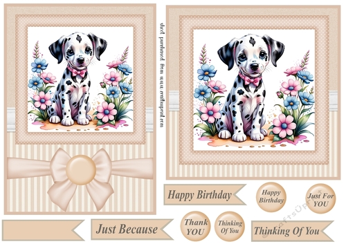 6x6 and 5x7 Beige floral puppy card fronts 4