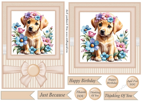 6x6 and 5x7 Beige floral puppy card fronts 5