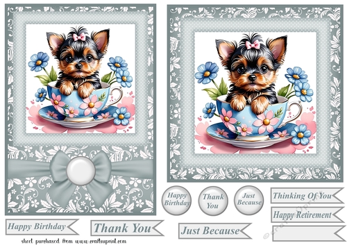 6x6 and 5x7 teacup Yorkie card fronts 3