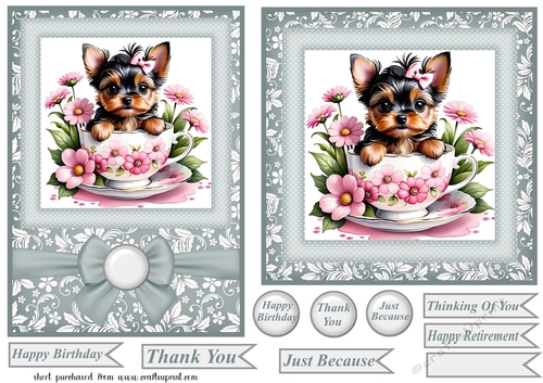 6x6 and 5x7 teacup Yorkie card fronts 6